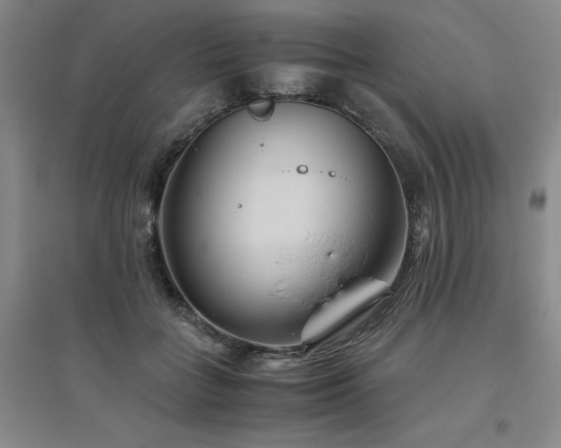 X0000094800555200711161500