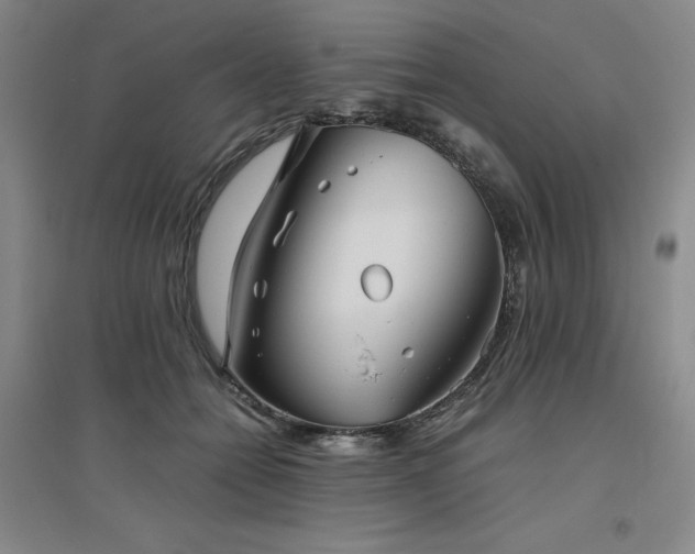 X0000094800558200711161500