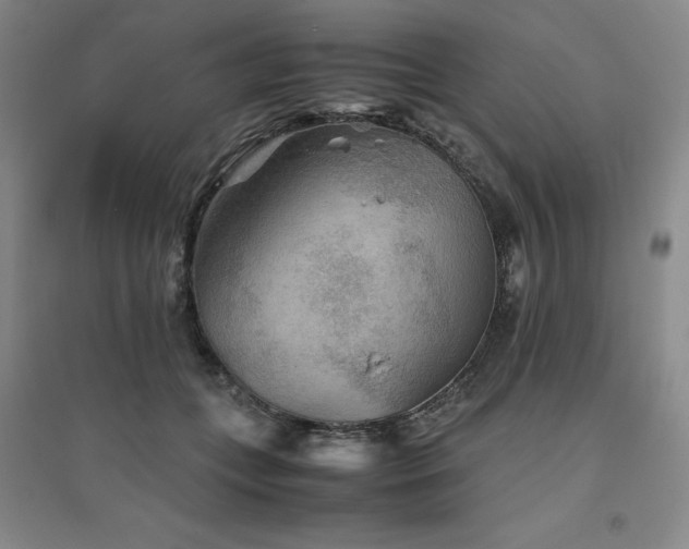 X0000094800559200711161500
