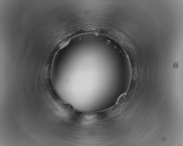 X0000094800560200711161500