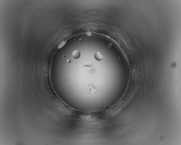 X0000094800561200711161500