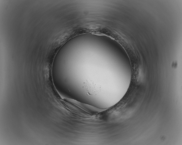 X0000094800562200711161500