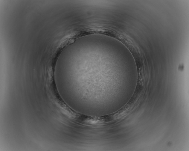 X0000094800563200711161500