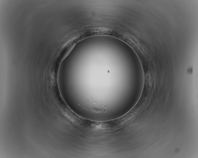 X0000094800564200711161500