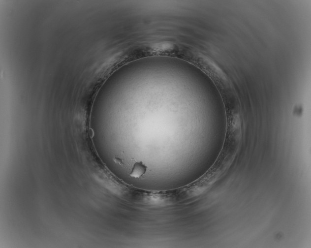 X0000094800565200711161500