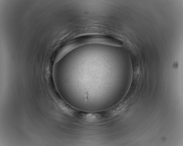 X0000094800566200711161500