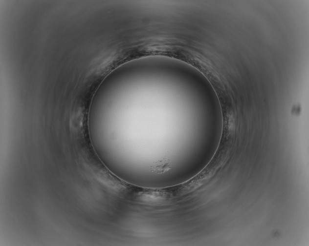 X0000094800567200711161500