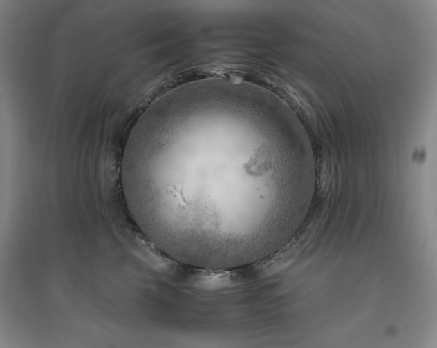 X0000094800569200711161501