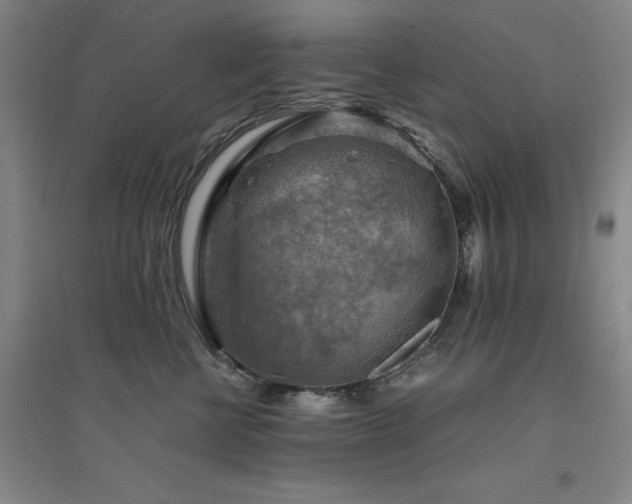 X0000094800570200711161501