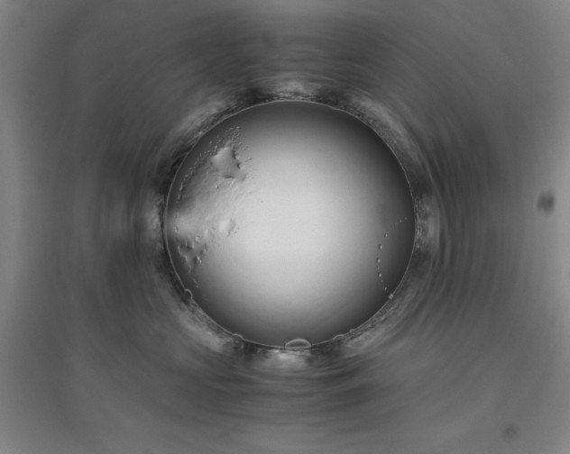 X0000094800573200711161501