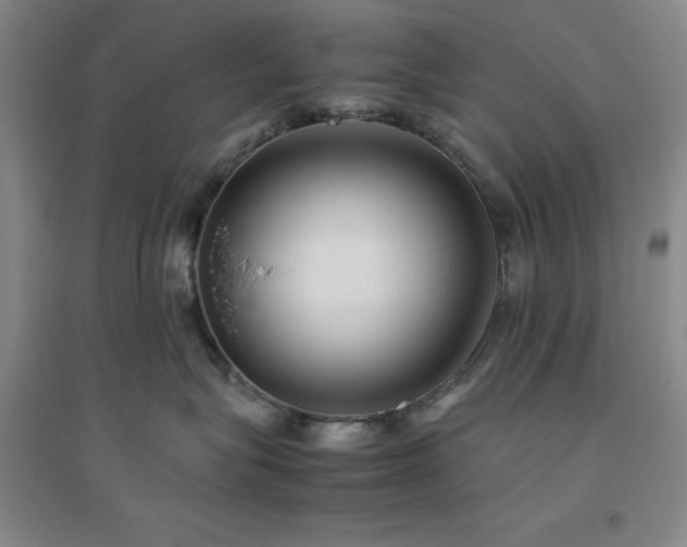 X0000094800575200711161501