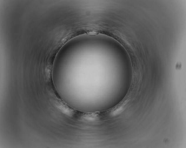X0000094800576200711161501