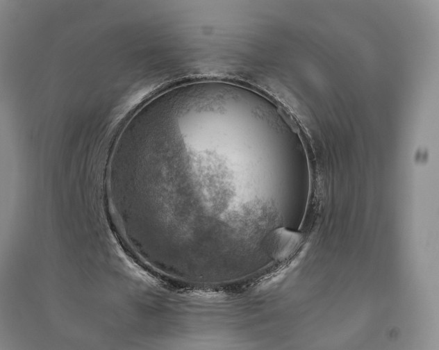 X0000094800577200711161500
