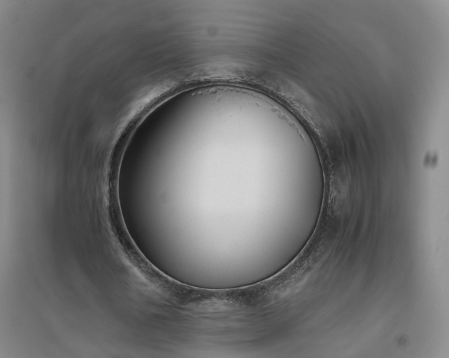X0000094800578200711161500