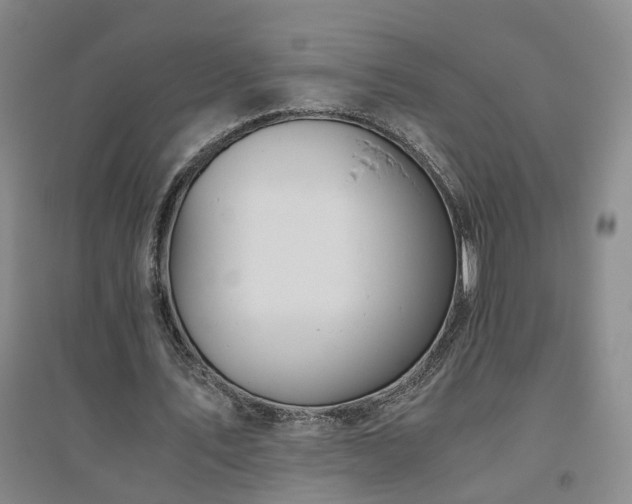 X0000094800579200711161500