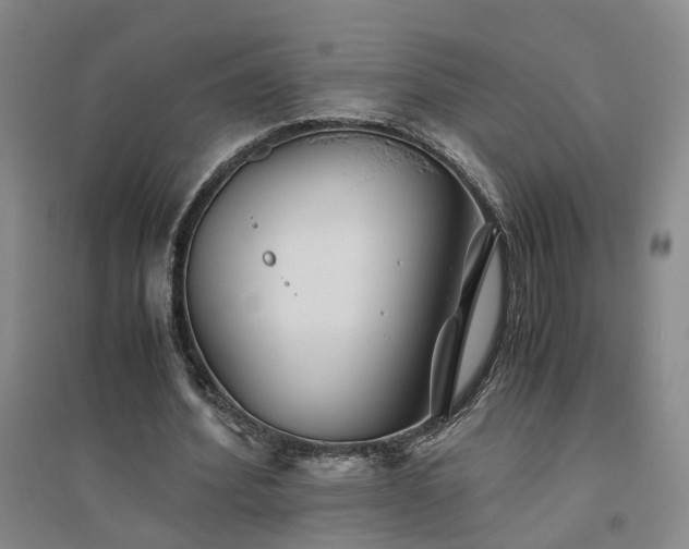 X0000094800580200711161500