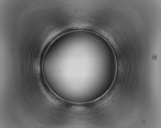 X0000094800582200711161500
