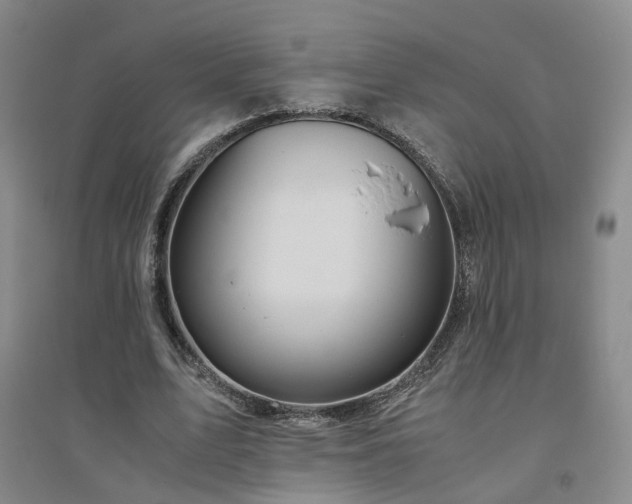 X0000094800583200711161500