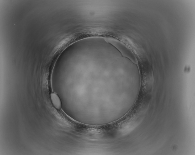 X0000094800585200711161500