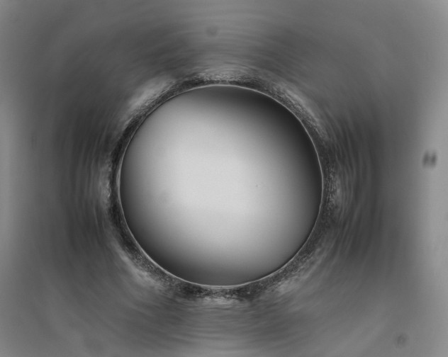 X0000094800586200711161500