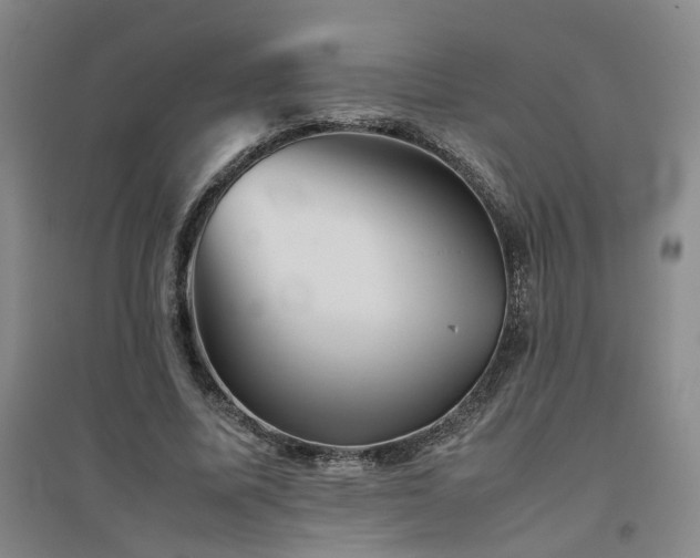 X0000094800587200711161500