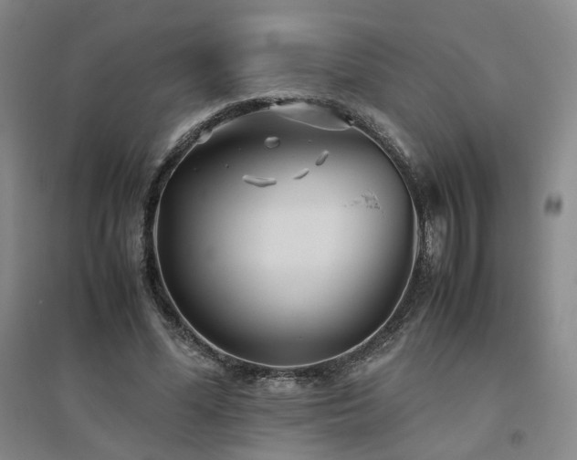 X0000094800588200711161500