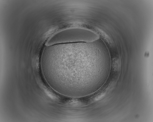X0000094800589200711161500