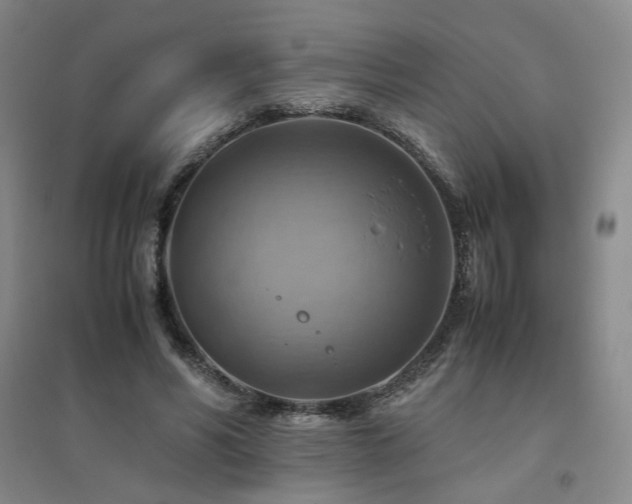 X0000094800590200711161500
