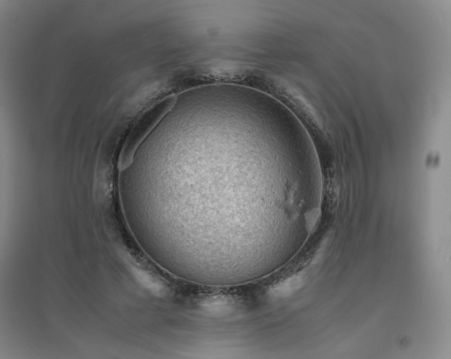 X0000094800593200711161500