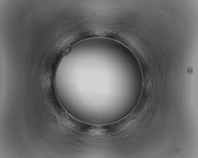 X0000094800595200711161500