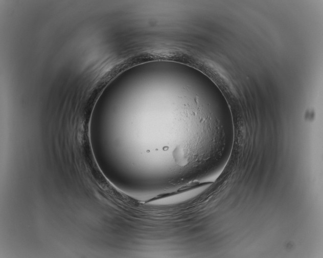 X0000094800596200711161500
