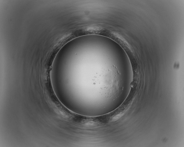 X0000094800597200711161500