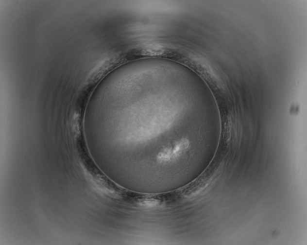 X0000094800598200711161500