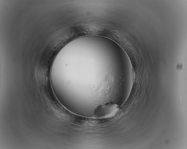 X0000094800599200711161500