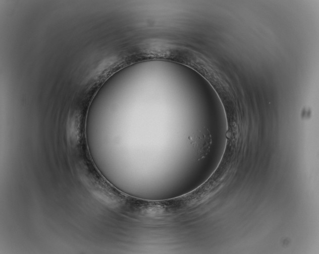 X0000094800600200711161500