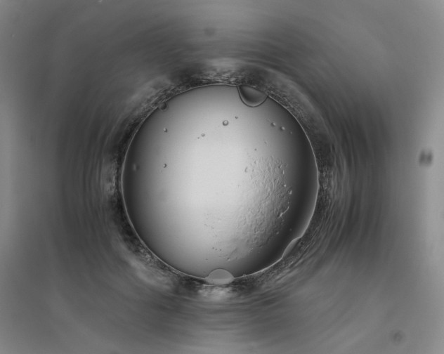 X0000094800602200711161500