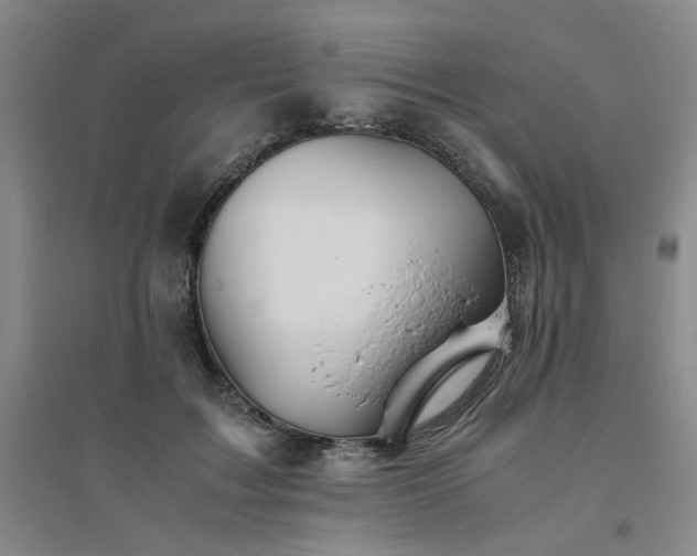 X0000094800603200711161500