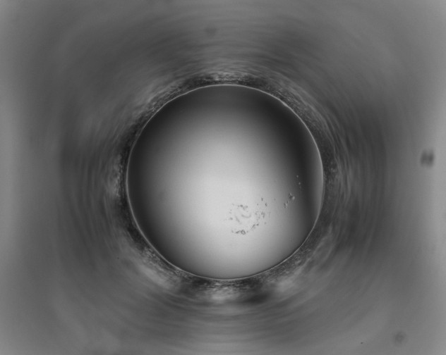 X0000094800604200711161500