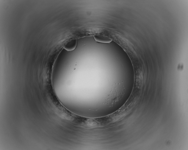X0000094800608200711161500