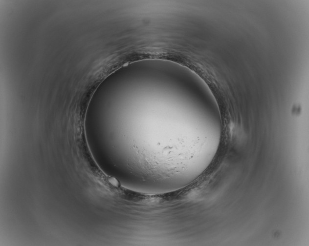 X0000094800609200711161459