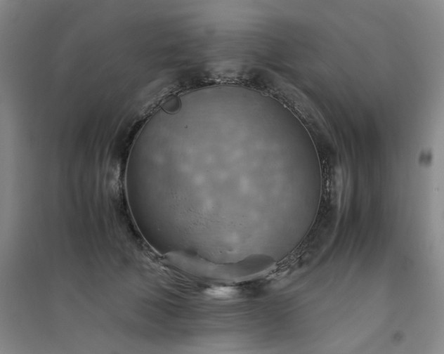 X0000094800610200711161459