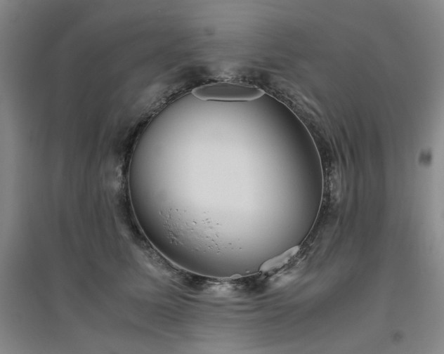 X0000094800611200711161459