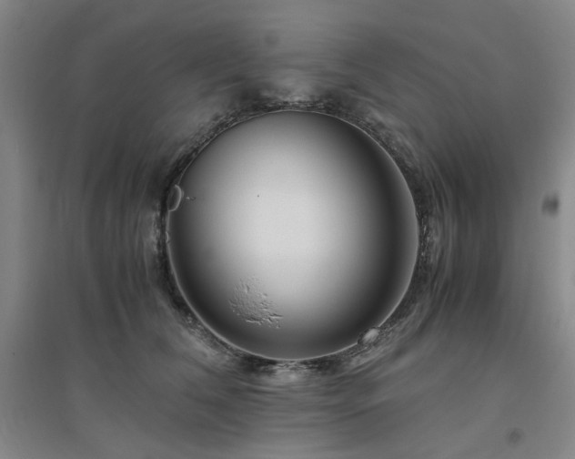X0000094800612200711161459