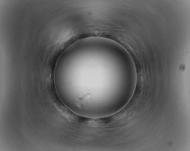 X0000094800615200711161459