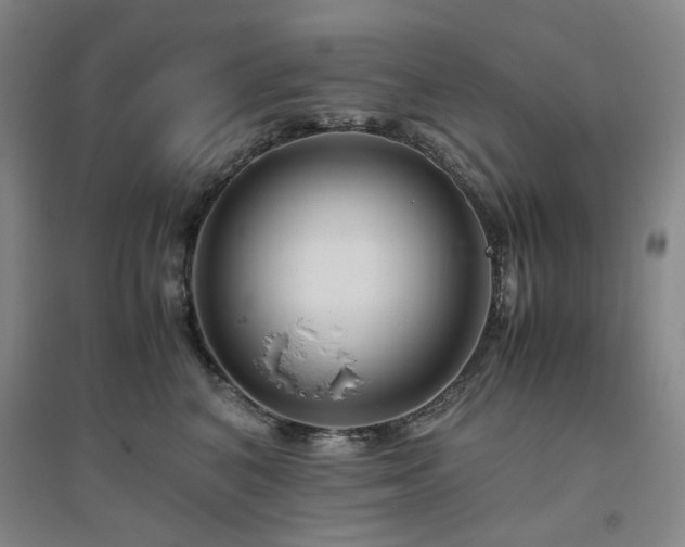 X0000094800616200711161459