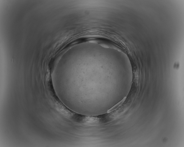 X0000094800617200711161459