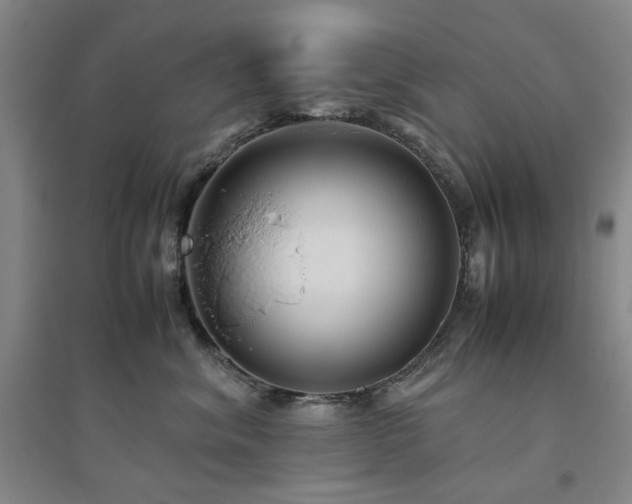 X0000094800620200711161459