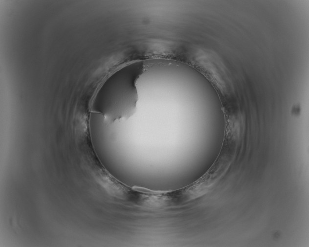 X0000094800621200711161459