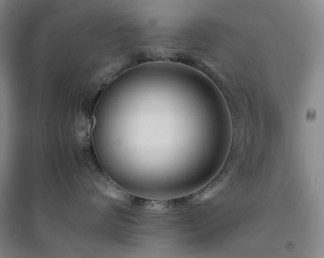 X0000094800624200711161459