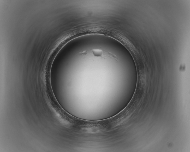 X0000094800626200711161458